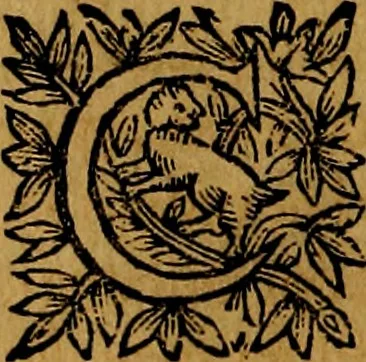 An illustration from Principe perfecto y ministros aivstados, docvmentos politicos, y morales. En emblemas, 1662, leaf 279