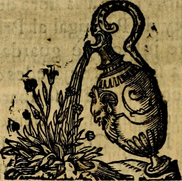An illustration from Principe perfecto y ministros aivstados, docvmentos politicos, y morales. En emblemas, 1662, leaf 139