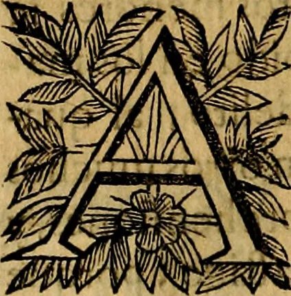 An illustration from Principe perfecto y ministros aivstados, docvmentos politicos, y morales. En emblemas, 1662, leaf 175