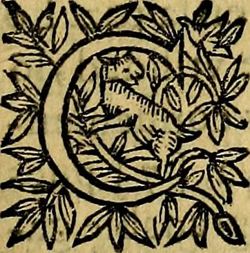 An illustration from Principe perfecto y ministros aivstados, docvmentos politicos, y morales. En emblemas, 1662, leaf 212