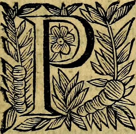 An illustration from Principe perfecto y ministros aivstados, docvmentos politicos, y morales. En emblemas, 1662, leaf 216