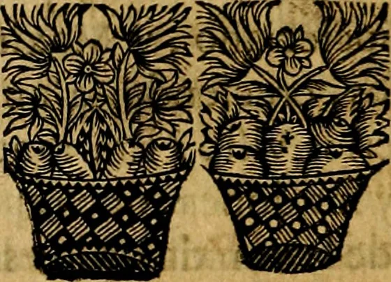An illustration from Principe perfecto y ministros aivstados, docvmentos politicos, y morales. En emblemas, 1662, leaf 311