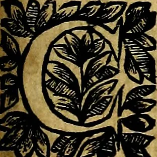 An illustration from Principe perfecto y ministros aivstados, docvmentos politicos, y morales. En emblemas, 1662, leaf 312