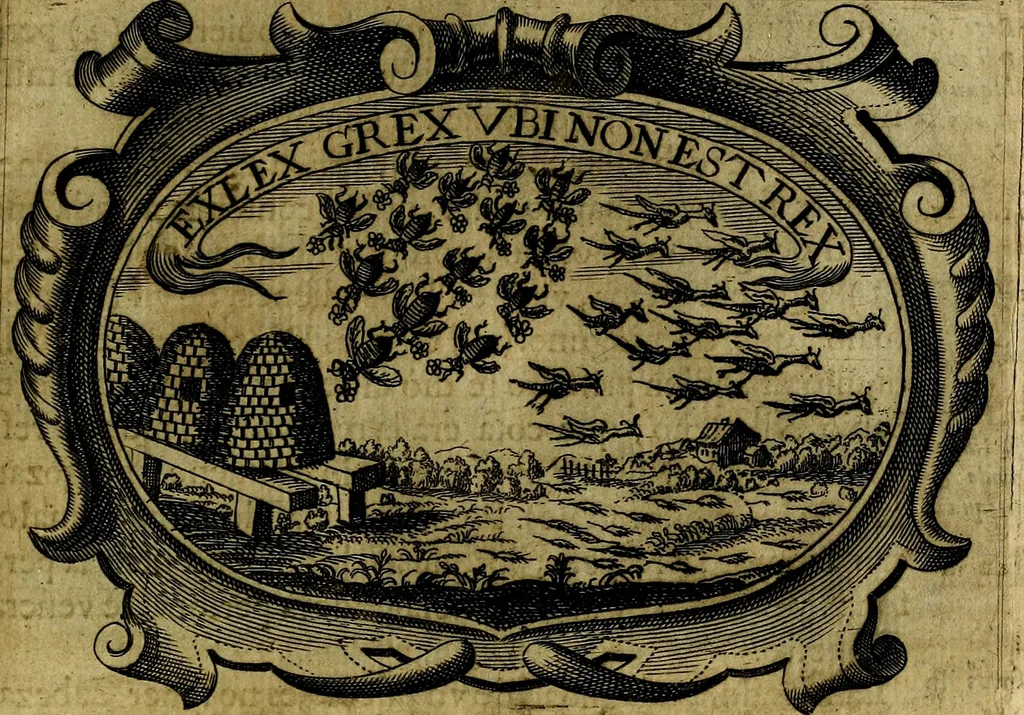 An illustration from Principe perfecto y ministros aivstados, docvmentos politicos, y morales. En emblemas, 1662, leaf 316