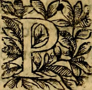 An illustration from Principe perfecto y ministros aivstados, docvmentos politicos, y morales. En emblemas, 1662, leaf 359