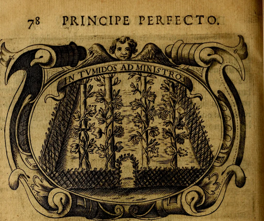 An illustration from Principe perfecto y ministros aivstados, docvmentos politicos, y morales. En emblemas, 1662, leaf 393