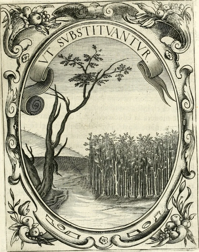 An illustration from Idea de vn principe politico christiano : representada en cien empresas, 1640, leaf 378