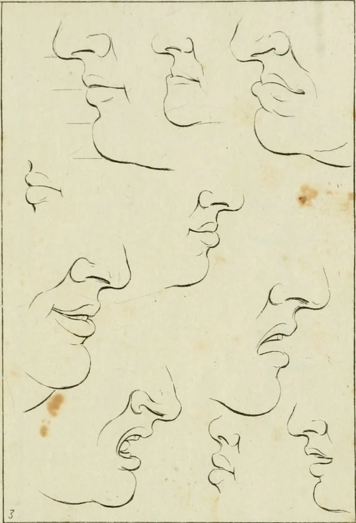 An illustration from Principes de dessein, 1700, leaf 10