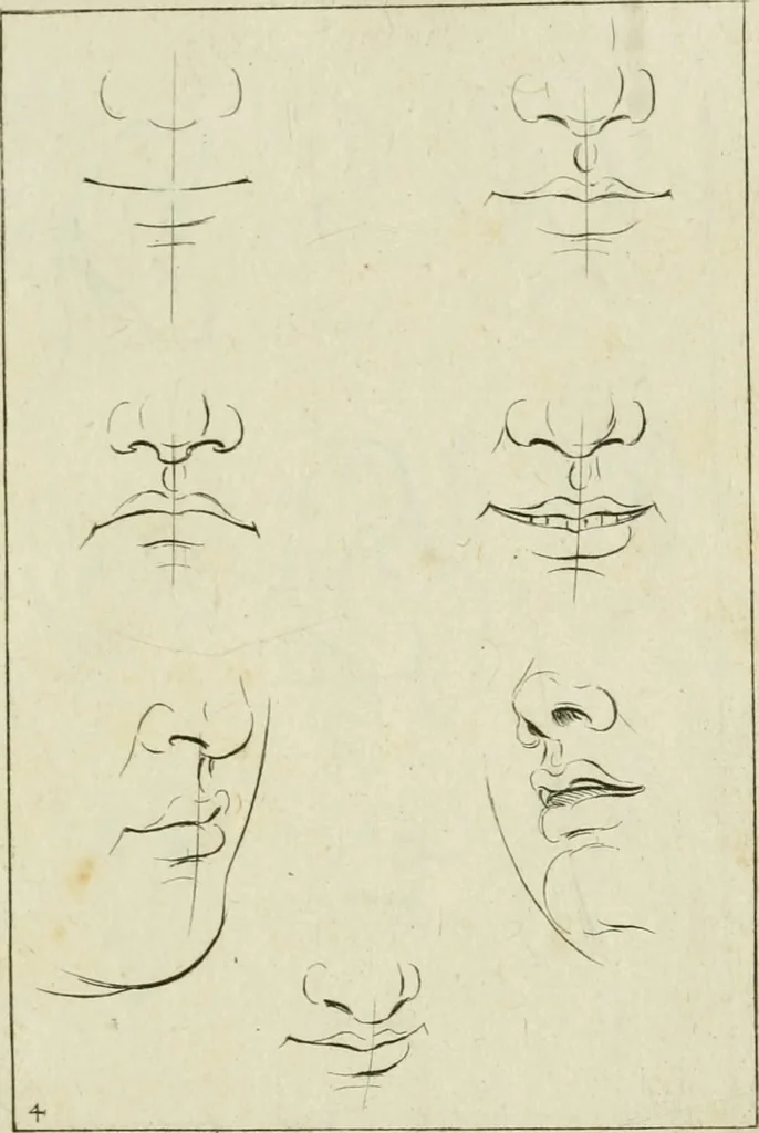 An illustration from Principes de dessein, 1700, leaf 12