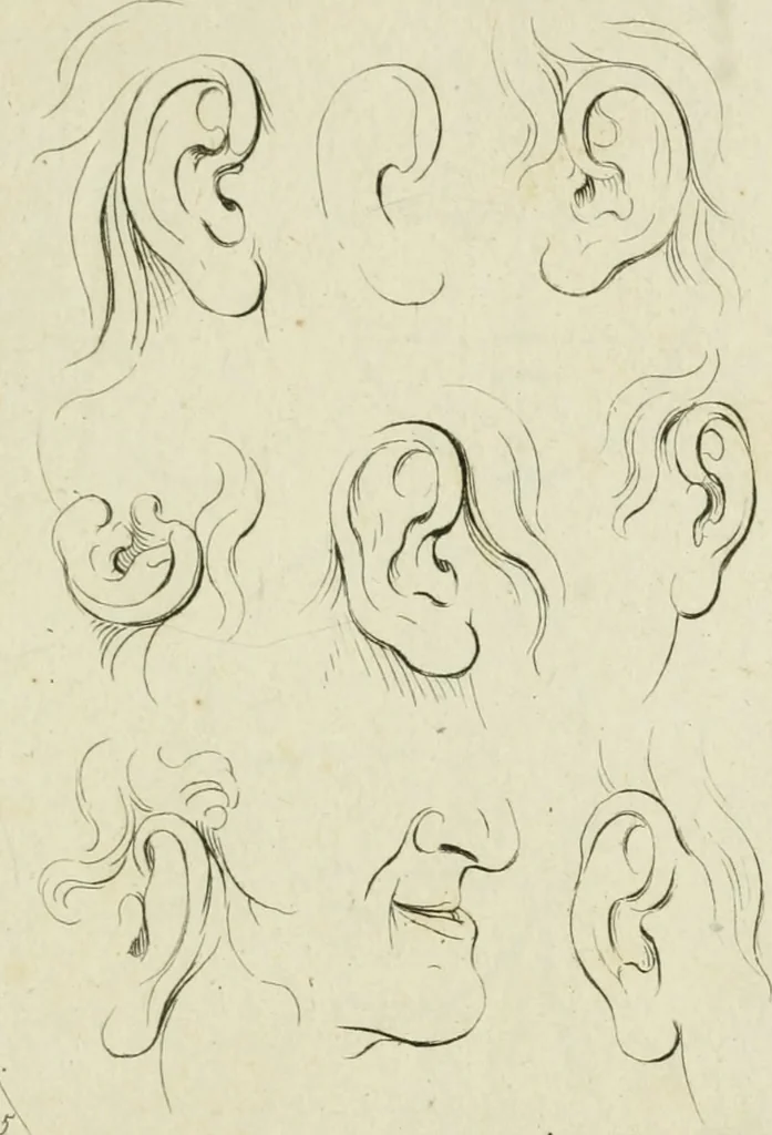 An illustration from Principes de dessein, 1700, leaf 14