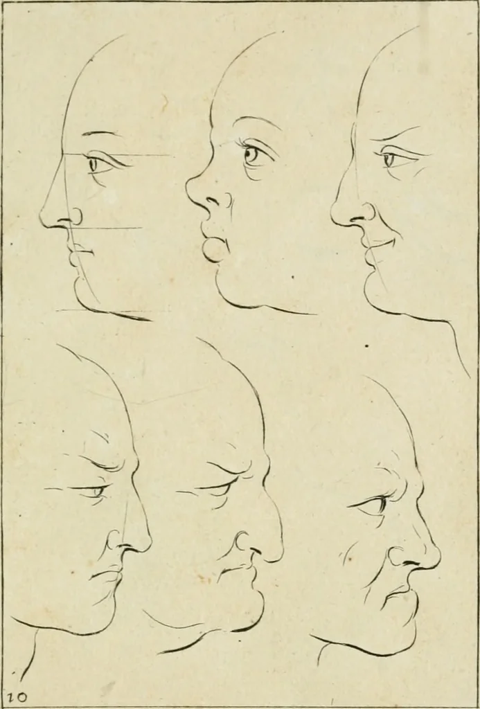 An illustration from Principes de dessein, 1700, leaf 24