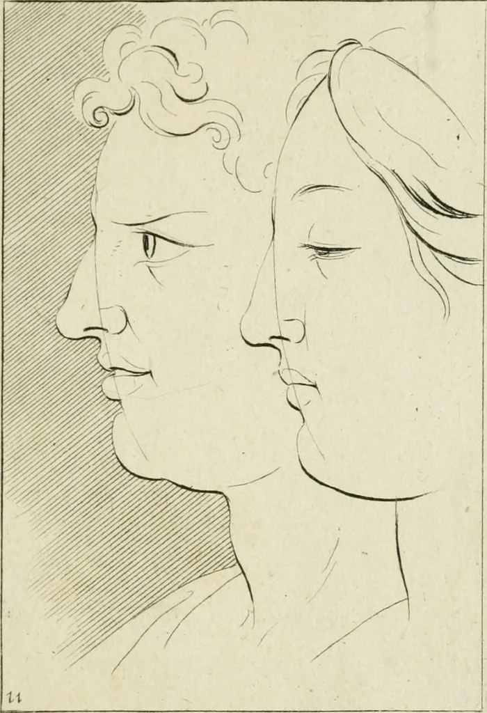An illustration from Principes de dessein, 1700, leaf 26