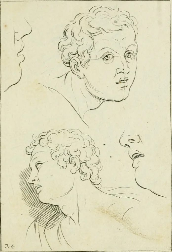 An illustration from Principes de dessein, 1700, leaf 52