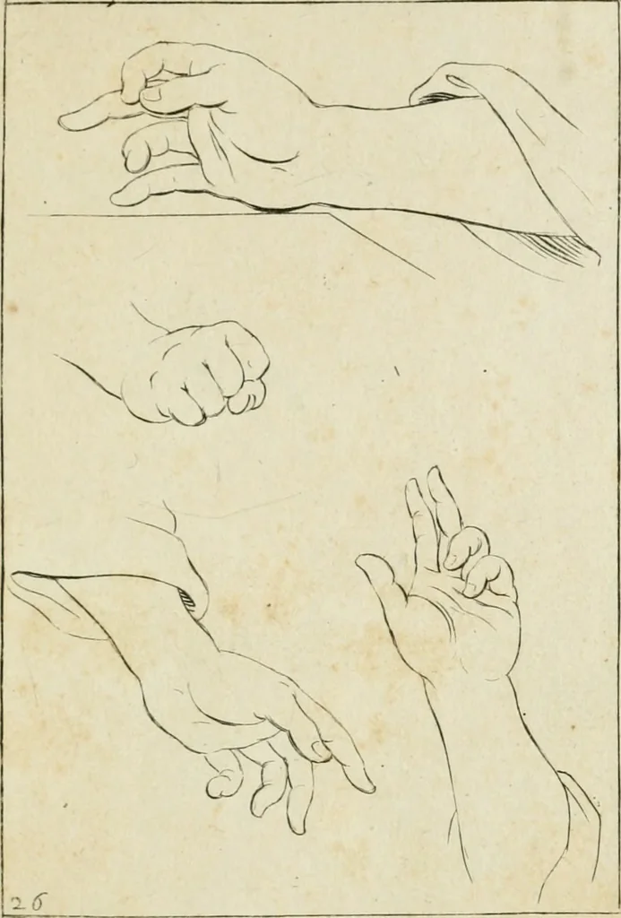 An illustration from Principes de dessein, 1700, leaf 56
