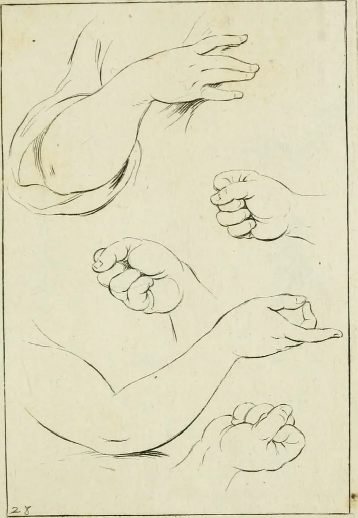 An illustration from Principes de dessein, 1700, leaf 60