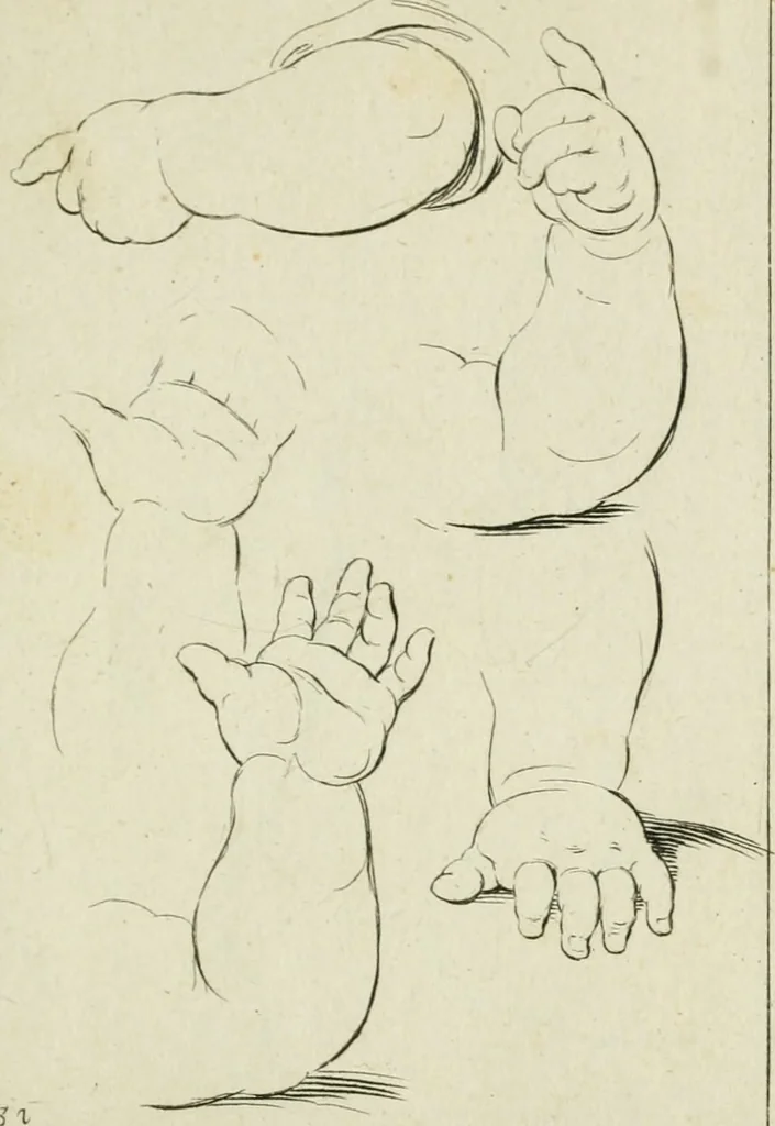 An illustration from Principes de dessein, 1700, leaf 66