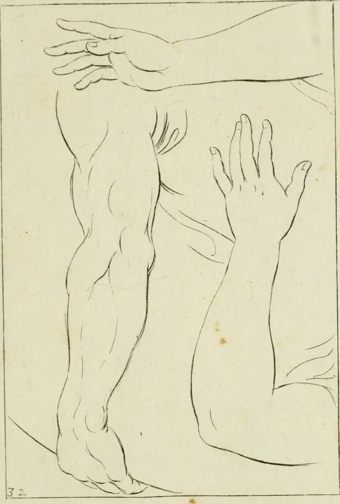 An illustration from Principes de dessein, 1700, leaf 68