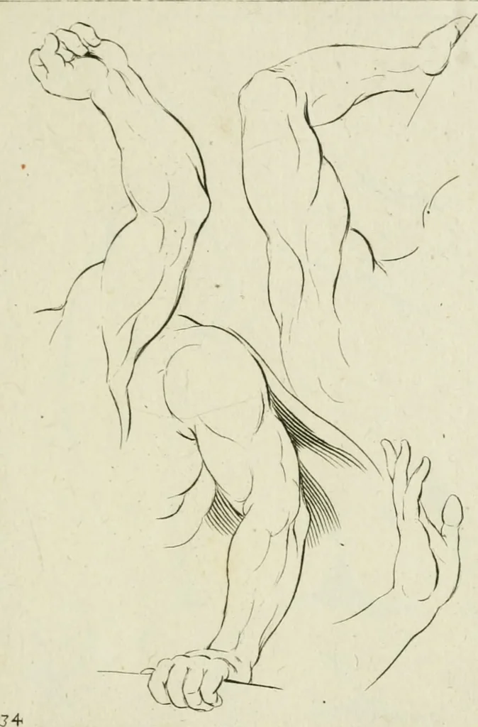 An illustration from Principes de dessein, 1700, leaf 72