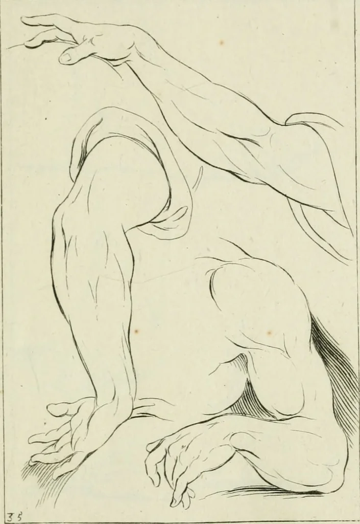 An illustration from Principes de dessein, 1700, leaf 74