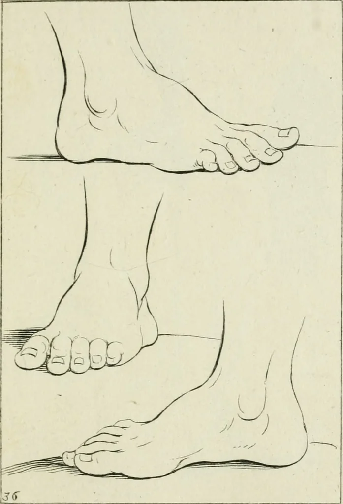An illustration from Principes de dessein, 1700, leaf 76