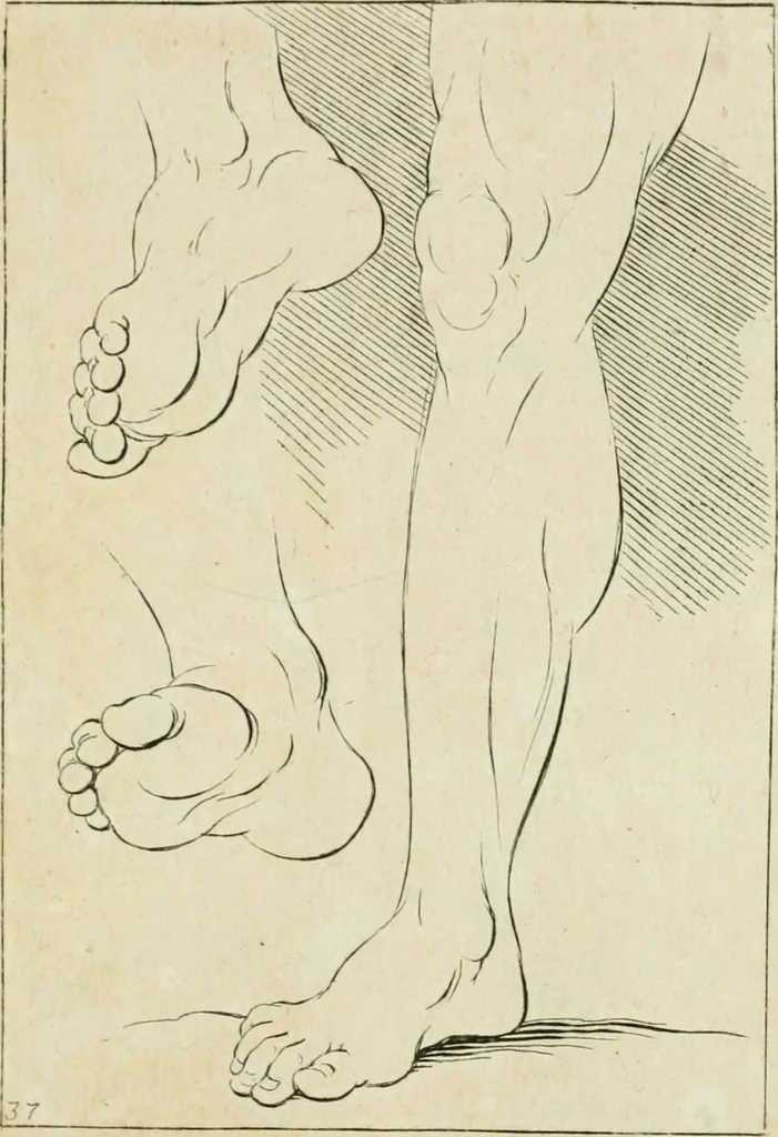 An illustration from Principes de dessein, 1700, leaf 78
