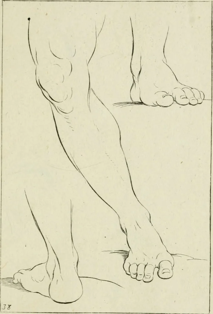 An illustration from Principes de dessein, 1700, leaf 80