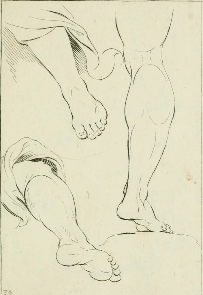 An illustration from Principes de dessein, 1700, leaf 82