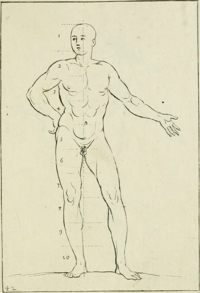 An illustration from Principes de dessein, 1700, leaf 88
