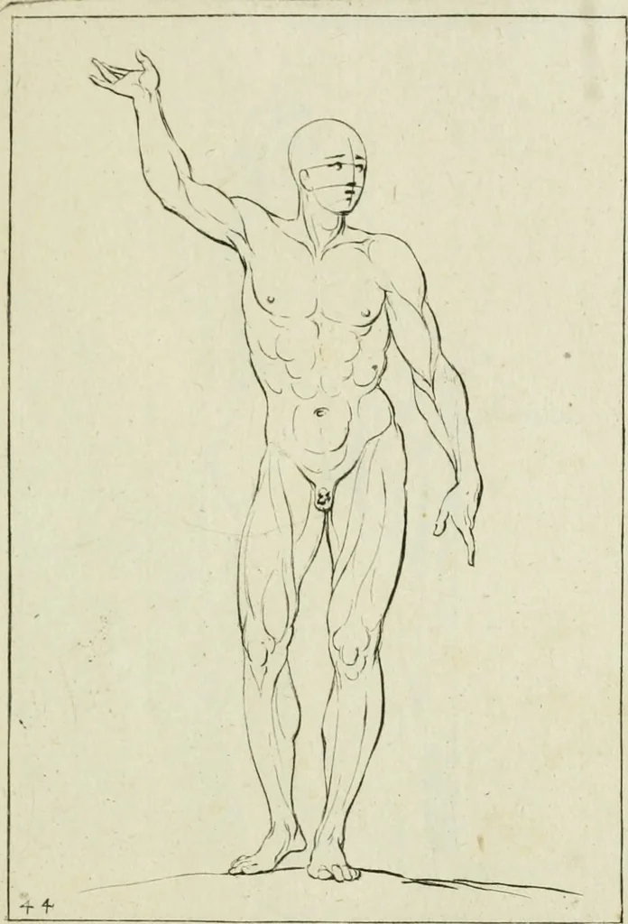 An illustration from Principes de dessein, 1700, leaf 92