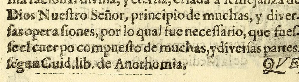 An illustration from Principia medicinae, epitome, et totius humani corporis fabrica seu ex microcosmi armonia divinum, germen,, 1685, leaf 136