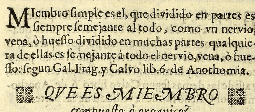 An illustration from Principia medicinae, epitome, et totius humani corporis fabrica seu ex microcosmi armonia divinum, germen,, 1685, leaf 138