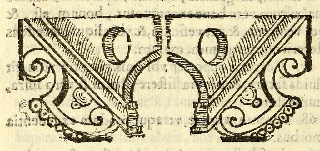 An illustration from Principia medicinae, epitome, et totius humani corporis fabrica seu ex microcosmi armonia divinum, germen,, 1685, leaf 214