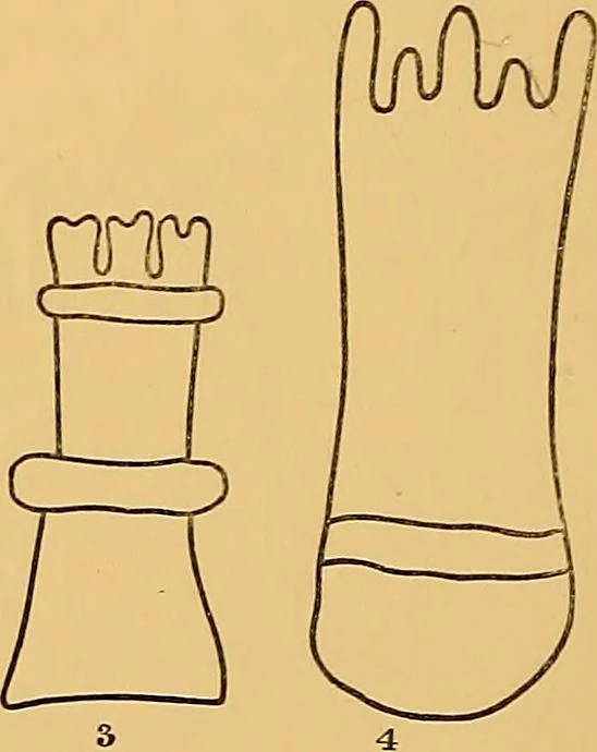 An illustration from Principia typographica. The block-books, or xylographic delineations of scripture history; issued in Holland, Flanders and Germany, during the fifteenth century, exemplified and considered in connexion with the origin of printing. To which is added an attempt to elucidate the character of the paper-marks of the period, 1858, leaf 89