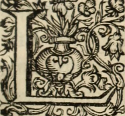An illustration from Principios del reyno de Portugal : con la vida y hechos di Don Alfonso Henriquez, su primero rey : y con los principios de los otros estados christianos de Hespaña, 1641, leaf 230