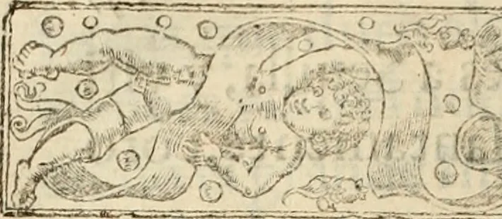 An illustration from Principios del reyno de Portugal : con la vida y hechos di Don Alfonso Henriquez, su primero rey : y con los principios de los otros estados christianos de Hespaña, 1641, leaf 327
