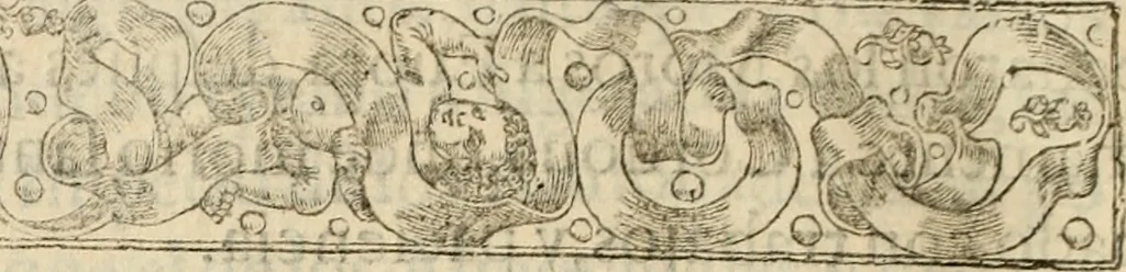 An illustration from Principios del reyno de Portugal : con la vida y hechos di Don Alfonso Henriquez, su primero rey : y con los principios de los otros estados christianos de Hespaña, 1641, leaf 327