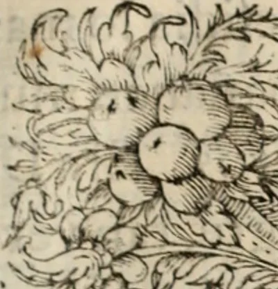 An illustration from Principios del reyno de Portugal : con la vida y hechos di Don Alfonso Henriquez, su primero rey : y con los principios de los otros estados christianos de Hespaña, 1641, leaf 420