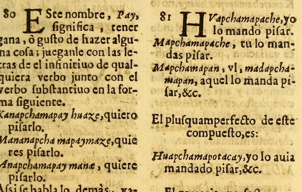 An illustration from Principios y reglas de la lengua cummanagota, general en varias naciones, que habitan en la Provincia de Cummana en las Indias Occidentales., 1683, leaf 49