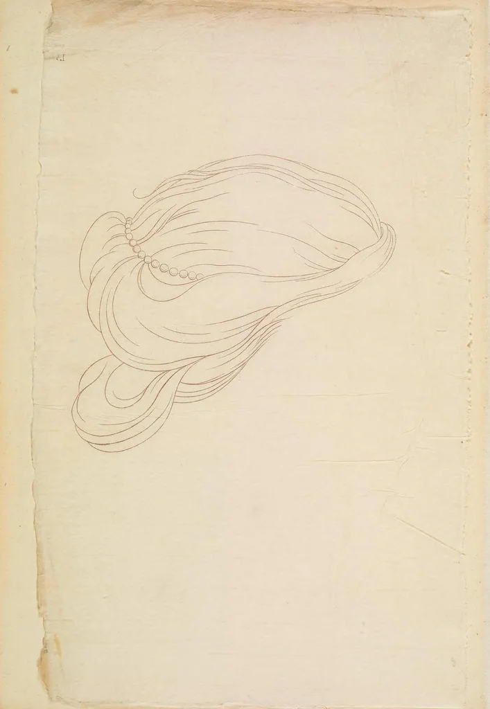 An illustration from Principles of beauty relative to the human head, 1778, leaf 102