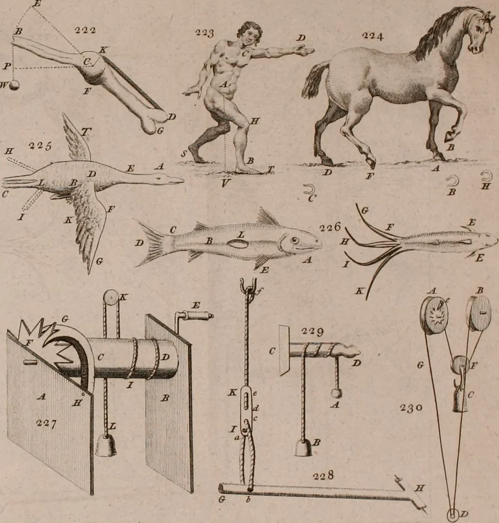 An illustration from The principles of mechanics : explaining and demonstrating the general laws of motion, the laws of gravity, motion of descending bodies, projectiles, mechanic powers, pendulums, centers of gravity, &c. strength and stress of timber, hydrostatics, and construction of machines : a work very necessary to be known, by all gentlemen, and others, that desire to have an insight into the works of nature and art : and extremely useful to all sorts of artificers, particularly to architects, engineers, shipwrights, millwrights, watchmakers, &c. or any that work in a mechanical way : illustrated with forty-three copper-plates, 1773, leaf 333