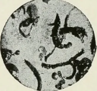 An illustration from The principles of advertising arrangement, 1912, leaf 125