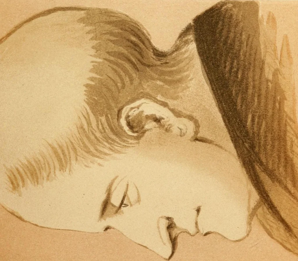An illustration from The principles of beauty as manifested in nature, art, and human character : with a classification of deformities. An essay on the temperaments with illustrations. And Thoughts on Grecian and Gothic architecture., 1859, leaf 378