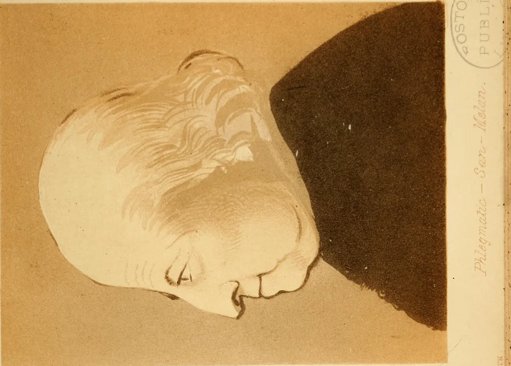 An illustration from The principles of beauty as manifested in nature, art, and human character : with a classification of deformities. An essay on the temperaments with illustrations. And Thoughts on Grecian and Gothic architecture., 1859, leaf 406
