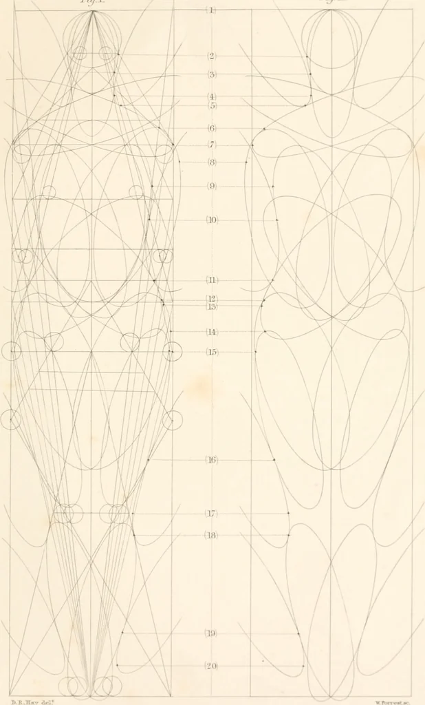 An illustration from The principles of beauty, 1857, leaf 102
