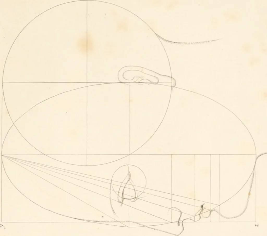 An illustration from The principles of beauty, 1857, leaf 96