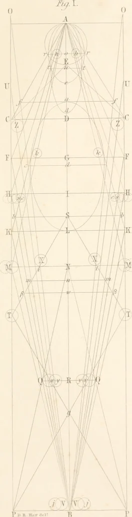 An illustration from The principles of beauty, 1857, leaf 98