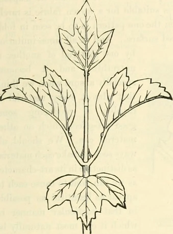 An illustration from Principles of decorative design, 1873, leaf 106