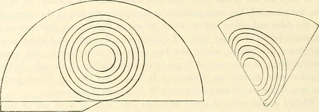 An illustration from Principles of decorative design, 1873, leaf 125