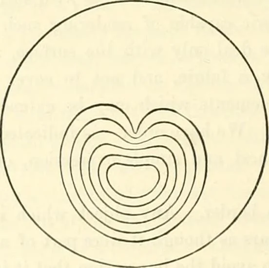 An illustration from Principles of decorative design, 1873, leaf 125