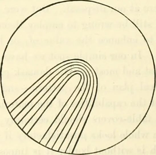 An illustration from Principles of decorative design, 1873, leaf 125
